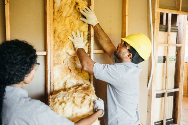 Best Basement Insulation  in , KY